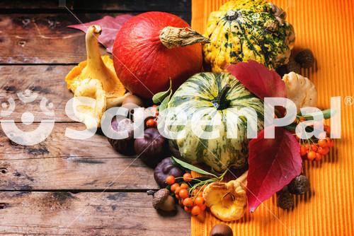 Pumpkins, Nuts And Berries